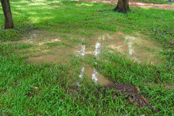 Cost of Storm Water Drainage Service in Columbia