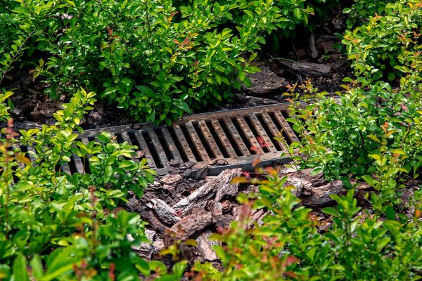Cost of Underground Drainage Service in Columbia