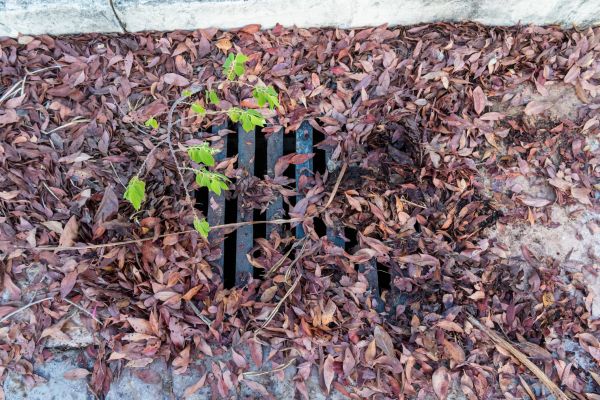 Cost of Yard Drain Unclogging in Columbia