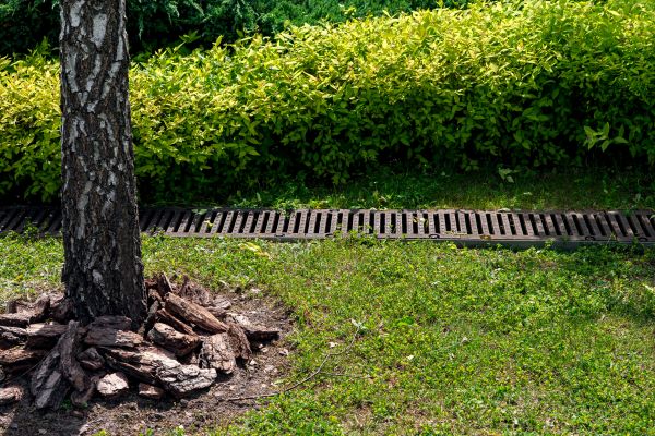 Cost of Yard Water Redirection in Columbia