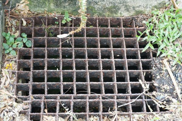 Cost of Yard Drain Cleaning in Columbia