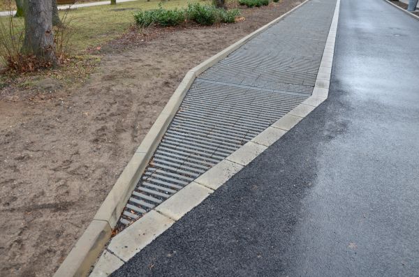 Cost of Muddy Yard Drainage in Columbia