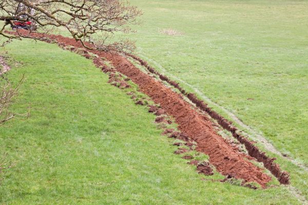 Cost of Swale Installation in Columbia