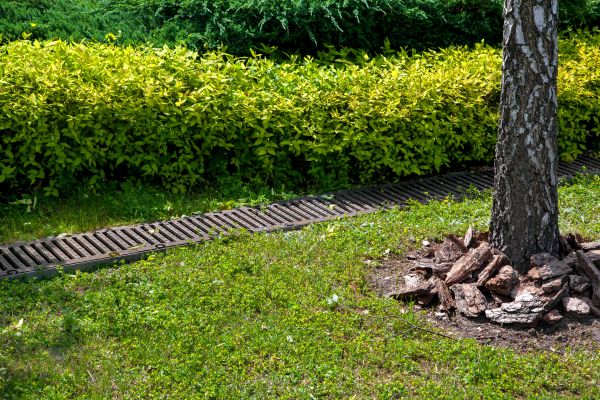 Cost of Residential Landscape Drainage in Columbia