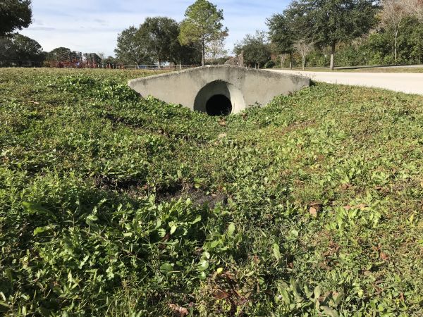 Cost of Swale Drainage Service in Columbia