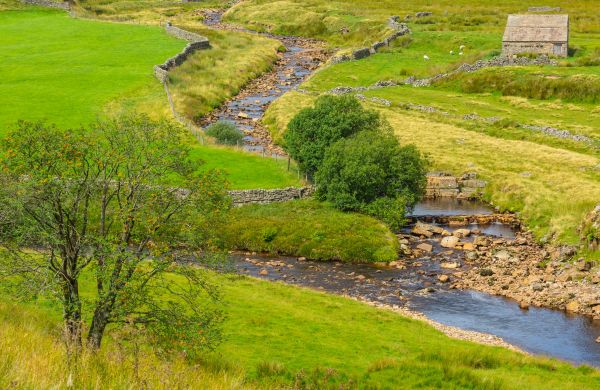 Cost of Swale Repair in Columbia
